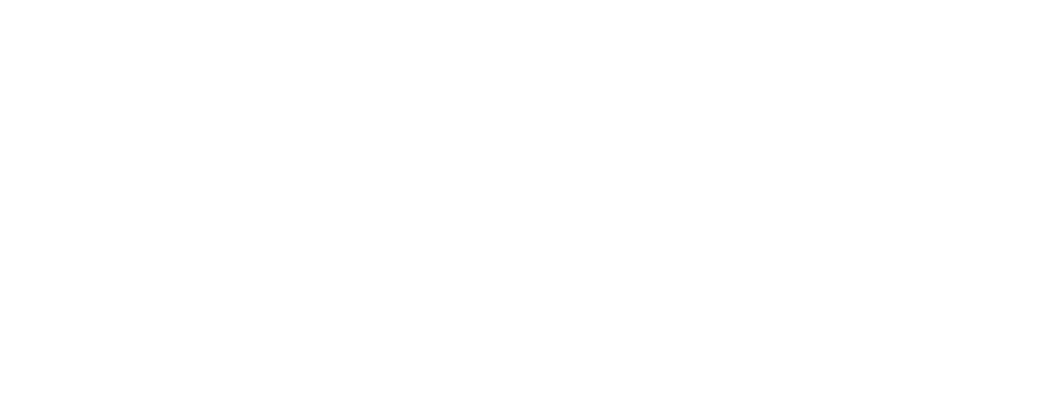 Scene Score